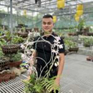 Nguyễn mạnh Kường