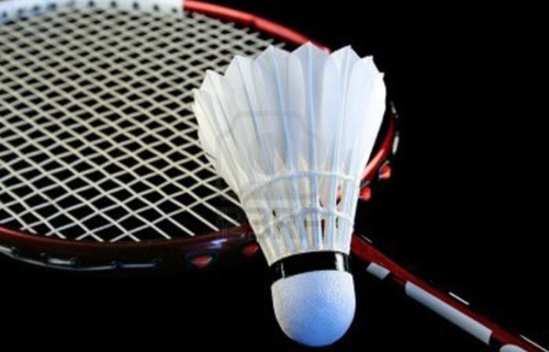 Badminton Sport Center Airport 521 Minh Khai