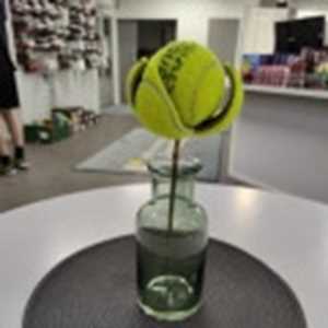 Nguyễn Mạnh Quế