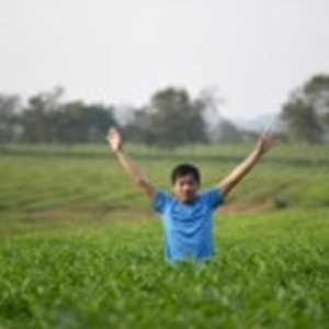 Nguyễn Chí Phương