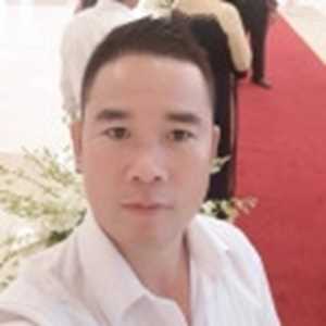 Tùng Cây Cảnh