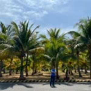 Đặng Tiến Cường