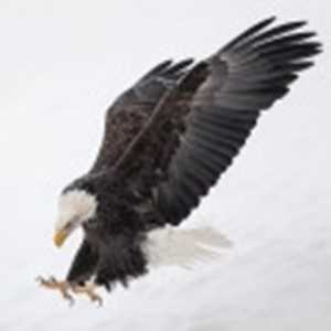 Nguyễn Ngọc Tăng