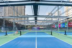 The Volley Zone Pickleball 